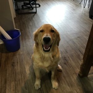 Meet your Posher, Kristian